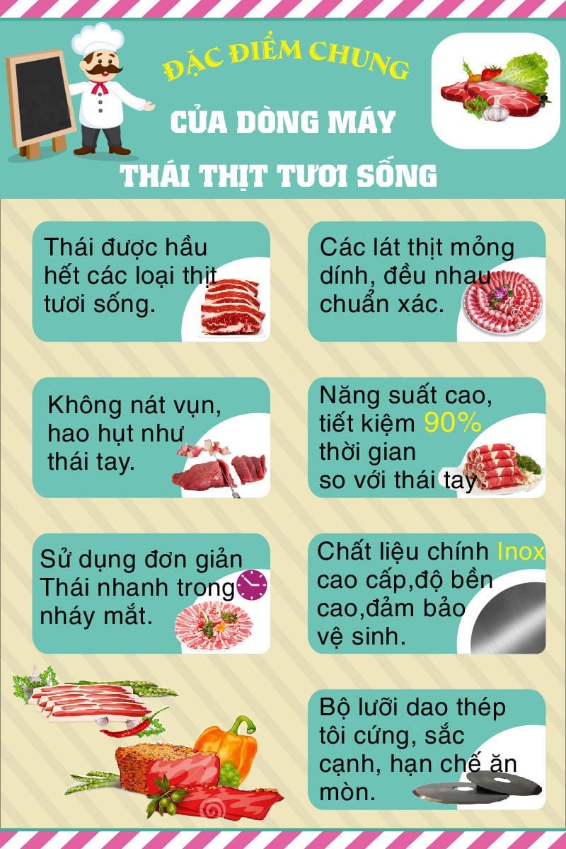 dac-diem-may-thai-thit-song-1-1 Print